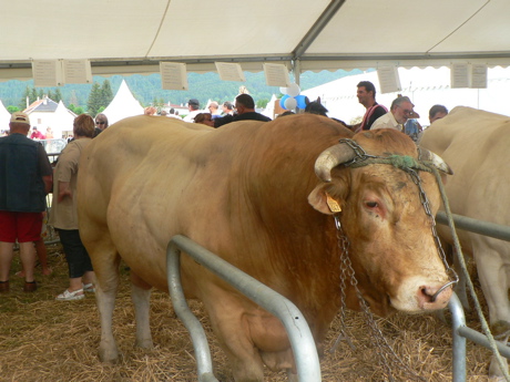 concours-cdep2.jpg