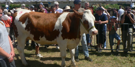 fete-du-bleu-n6.jpg