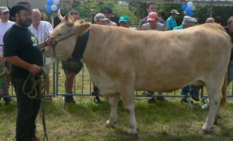 fete-du-bleu-n7.jpg