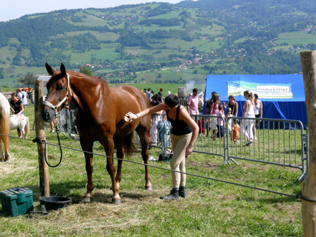 p1000149.jpg