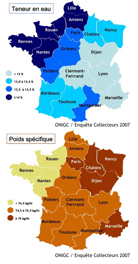 396_qualitlim_ble07.jpg