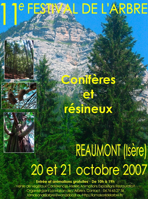 aff-festival-2007.jpg