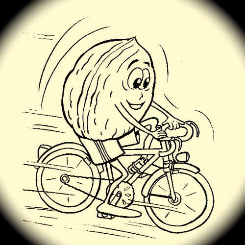 noix-sur-velo.jpg