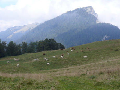 p1000190.jpg
