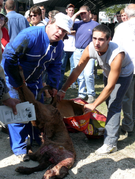 p1000225.jpg