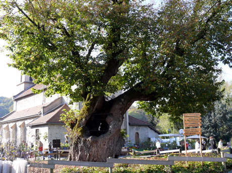 p1000288.jpg