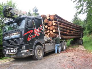 af-n3.jpg