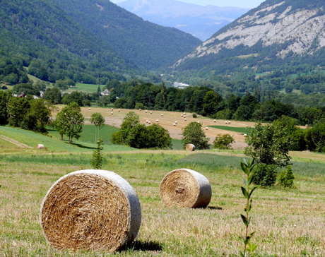 p1000070.jpg