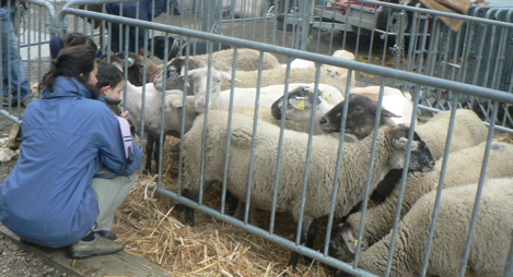 voiron5.jpg