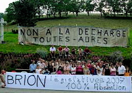 brion3.jpg