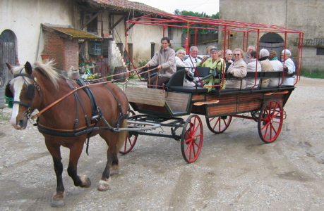 dombes2.jpg