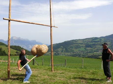 essai2008.jpg