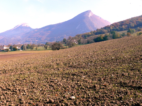 terreagricole.jpg