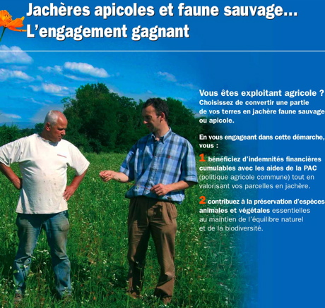 jacheres1.jpg