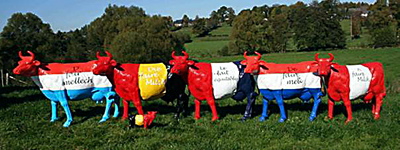 vaches.jpg
