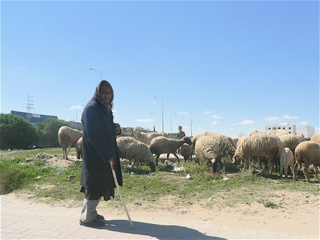album-19.jpg