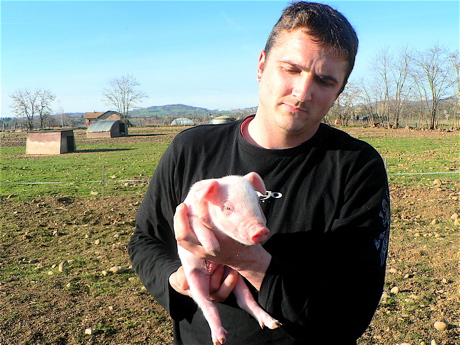 cochon1.jpg