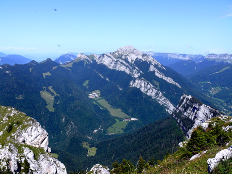 foretchartreuse.jpg