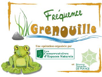 frequence-grenouille_2008_2.jpg