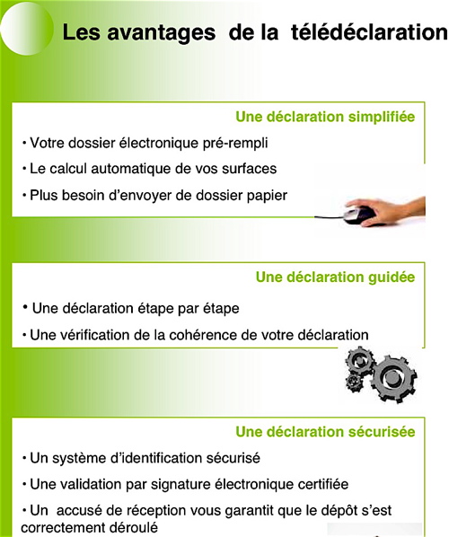telepac_2008-3.jpg