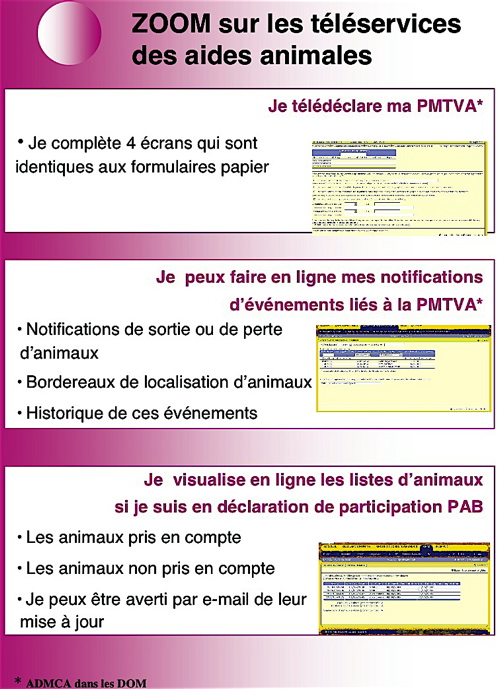 telepac_2008-6_.jpg