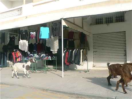 tunis-44.jpg