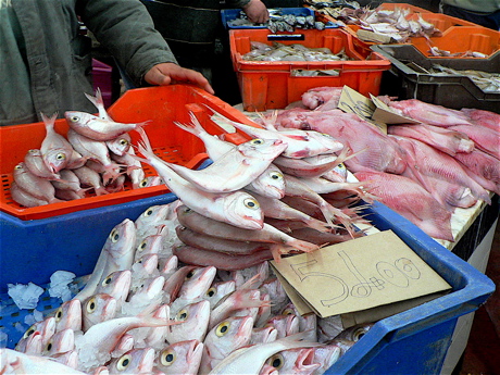 tunis-6.jpg