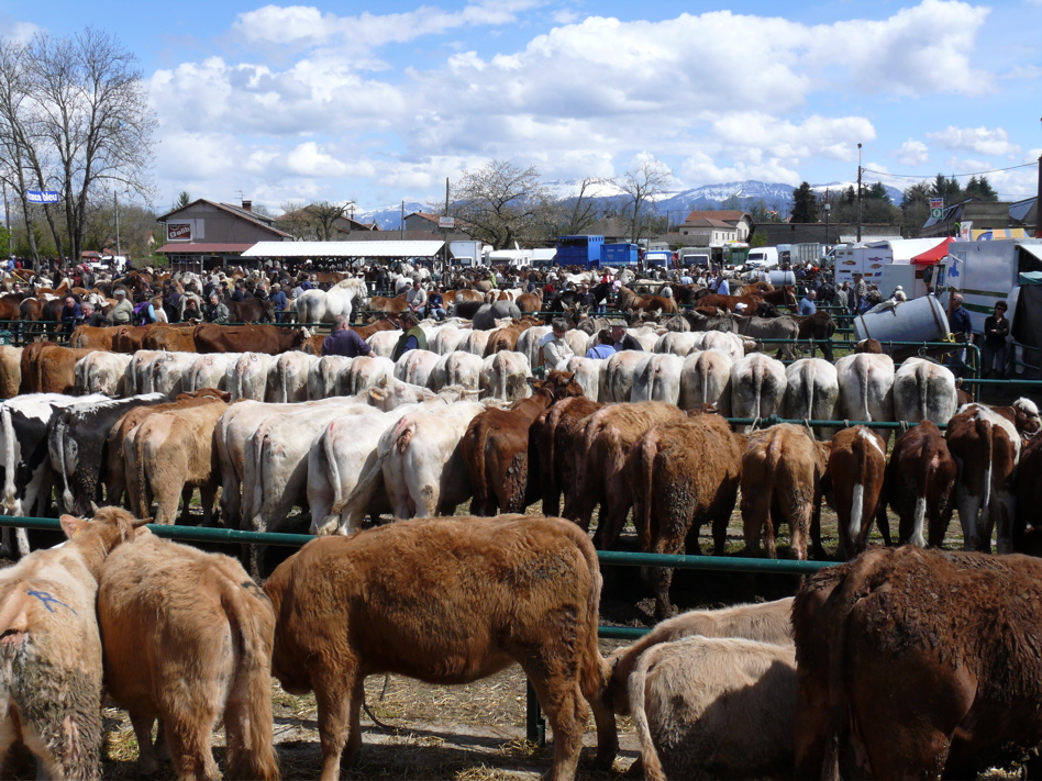 stgeorges.jpg