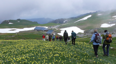 alpage-charmant-som.jpg