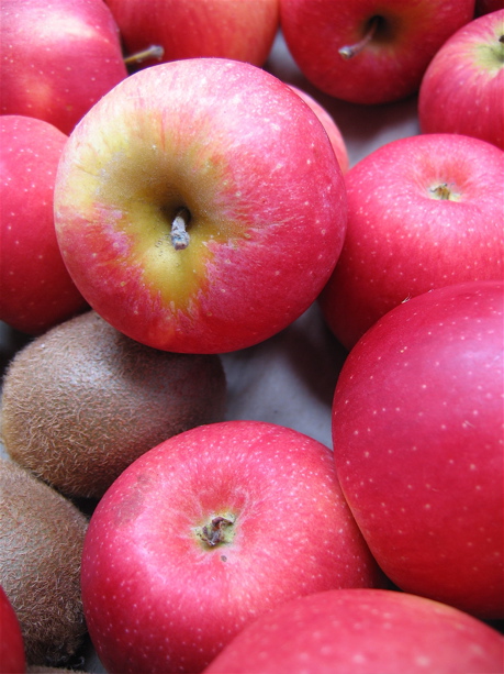 journee-technico-economique-fruits-220408-133.jpg