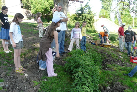 nichoirs-5.jpg