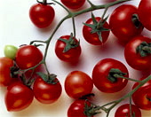 tomates.jpg