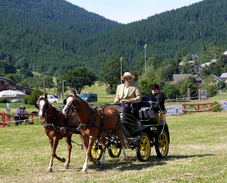 concours-attelage-autrans2.jpg