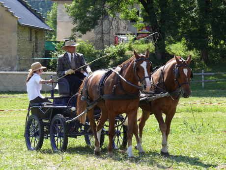 concours-dattelage-autrans.jpg