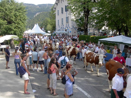 defile-de-vaches-dans-lans-en-vercors-redim.jpg