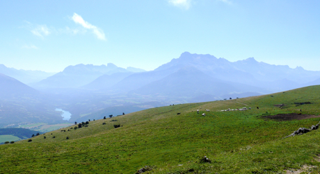 alpage-senepi.jpg