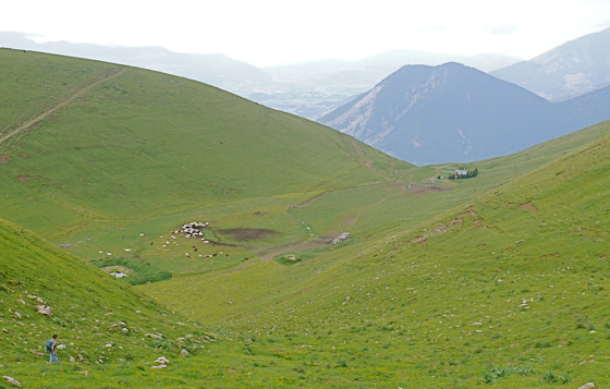 colombier-alpage.jpg