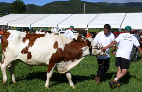 comice-cantonal.jpg