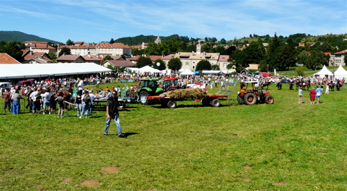 maire-1.jpg