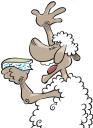 mouton-web.jpg