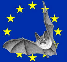 nuit-chauve-souris.jpg
