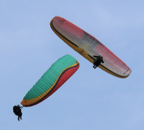 coupe-icare.jpg