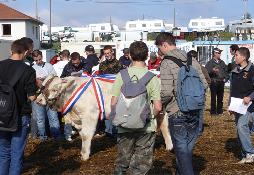 p1010647.jpg