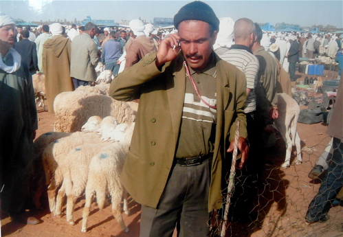 algerie-3.jpg
