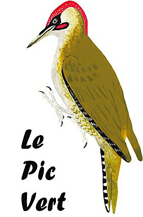 logo-lepicvert2petitetaille.jpg