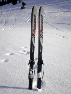 ski_rando_nordique.jpg