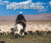 bergersdumonde.jpg