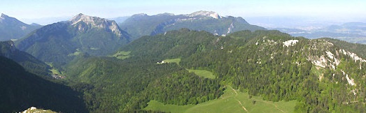 chartreuse.jpg
