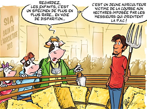 bd.jpg