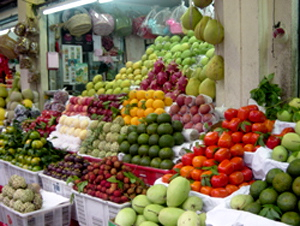 cirad.jpg